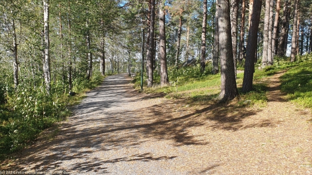 waldweg im naturpark gueltzauudden bei lulea