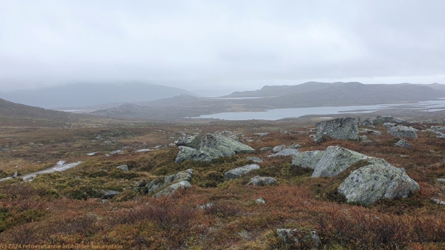 blick vom suedlichen kungsleden auf den svansjoen