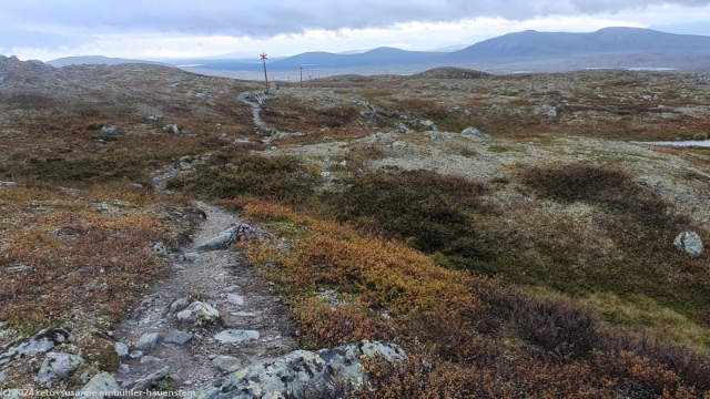 suedlicher kungsleden am fuss des roedfjaellet