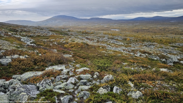 suedlicher kungsleden am fuss des roedfjaellet