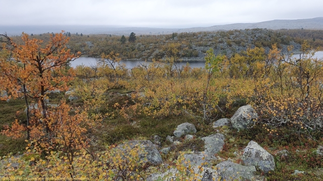 blick vom suedlichen kungsleden auf den gaalovenjohke