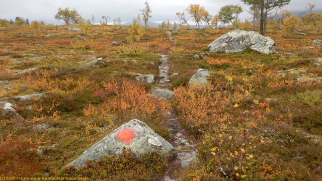 pfad des suedlichen kungsleden