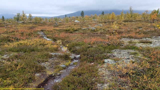 suedlicher kungsleden bei joenenjuenie