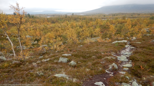 blick vom suedlichen kungsleden richtung dalstenshan