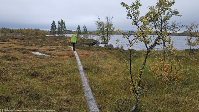 wandersteg entlang des dalstenshan im verlauf des suedlichen kungsleden