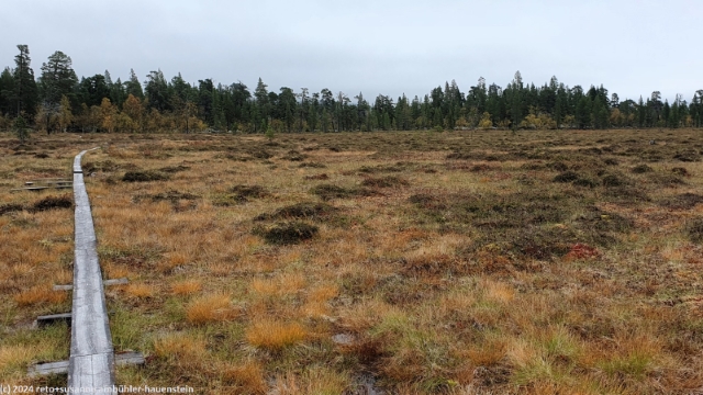 wandersteg durch sumpfgebiet im verlauf des suedlichen kungsleden