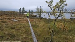 wandersteg entlang des dalstenshan im verlauf des suedlichen kungsleden