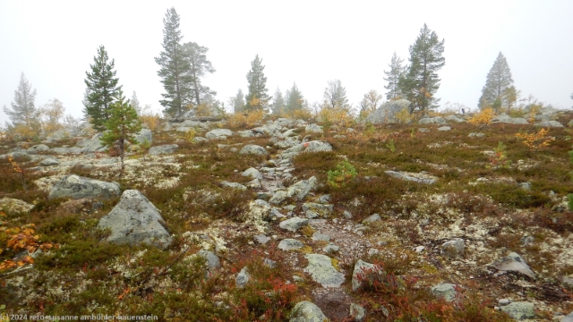 pfad des suedlichen kungsleden