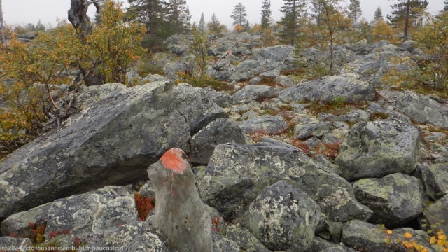 blockfeld im verlauf des suedlichen kungsleden