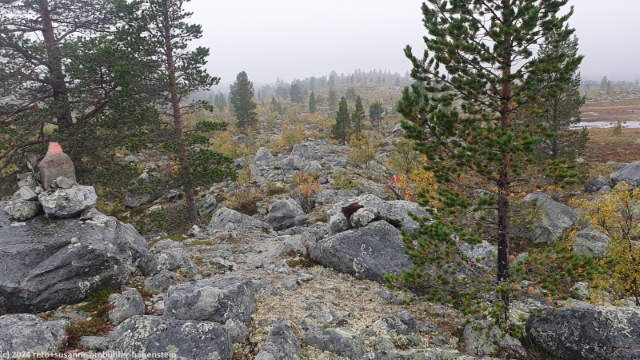 blockfeld im verlauf des suedlichen kungsleden