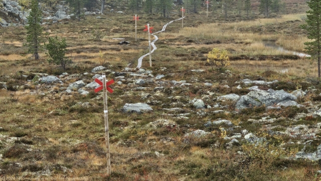 wandersteg durch sumpfgebiet im verlauf des suedlichen kungsleden