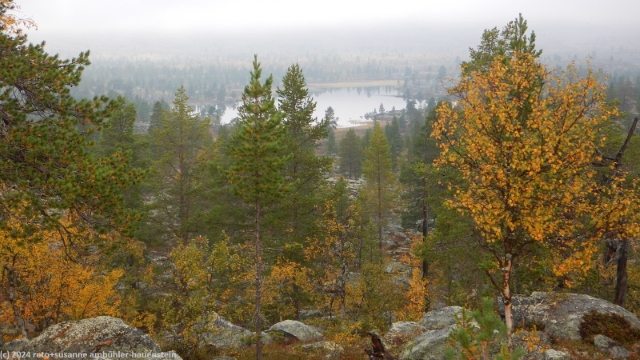 blick vom suedlichen kungsleden auf einen der zahlreichen bergseen