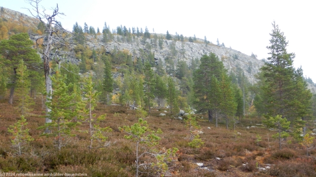 blick vom suedlichen kungsleden auf die felswand des oestlichen gipfel des bustvalen