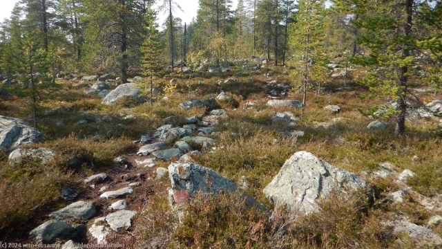 pfad des suedlichen kungsleden