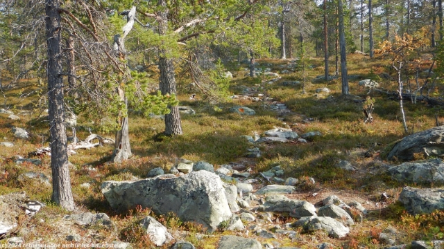pfad des suedlichen kungsleden