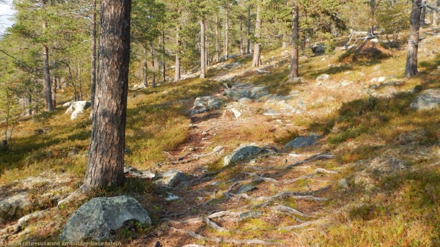 pfad des suedlichen kungsleden