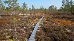 wandersteg im verlauf des suedlichen kungsleden