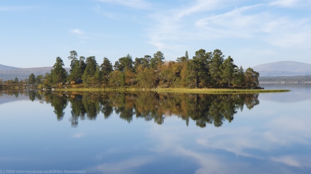 insel im rogen