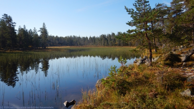 suedlicher kungsleden entlang eines seitenarms des rogen