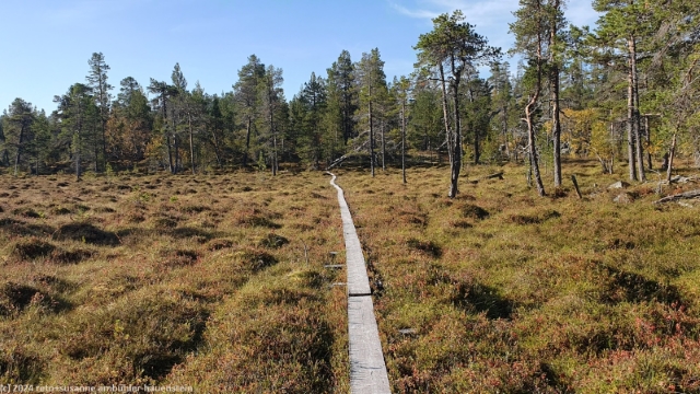wandersteg im verlauf des suedlichen kungsleden