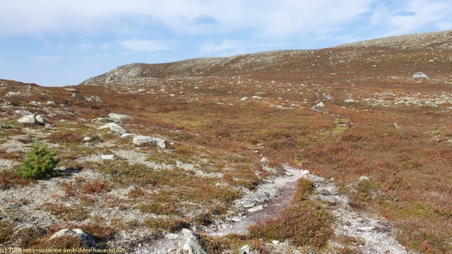 abstieg vom tandsjoevalen im verlauf des suedlichen kungsleden
