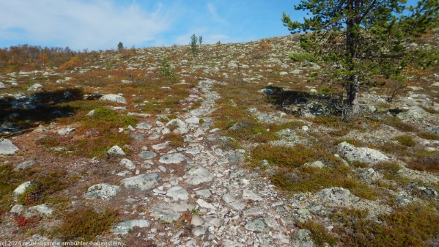 abstieg vom tandsjoevalen im verlauf des suedlichen kungsleden