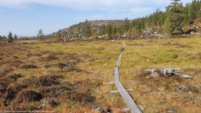 abstieg vom tandsjoevalen ueber wandersteg im verlauf des suedlichen kungsleden
