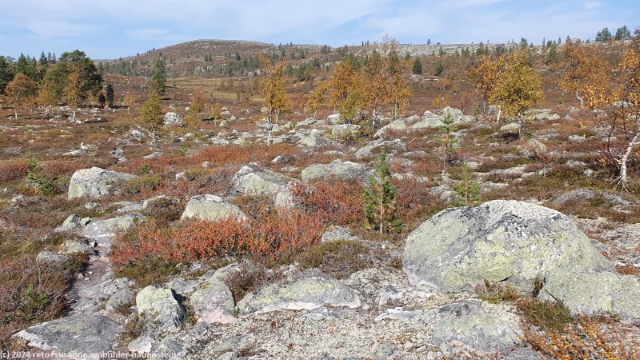 suedlicher kungsleden am fuss des goetsetjahke