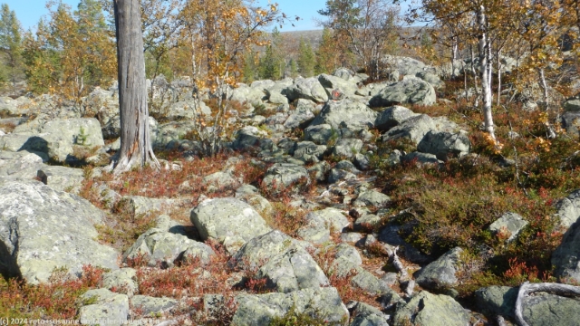 blockfeld im verlauf des suedlichen kungsleden