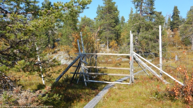 rentierzaun in der naehe des naessjoebaecken im verlauf des suedlichen kungsleden