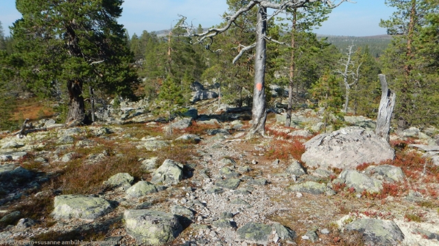 pfad des suedlichen kungsleden