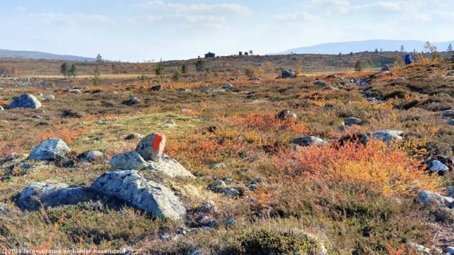 aufstieg zur storroedtjaernstugan im verlauf des suedlichen kungsleden