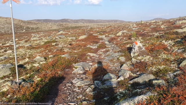 aufstieg richtung slagusjoen im verlauf des suedlichen kungsleden