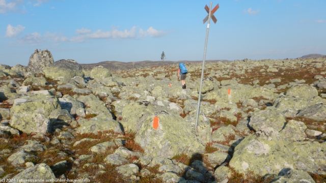 blockfeld auf der flanke des brattbaeckvalen im verlauf des suedlichen kungsleden