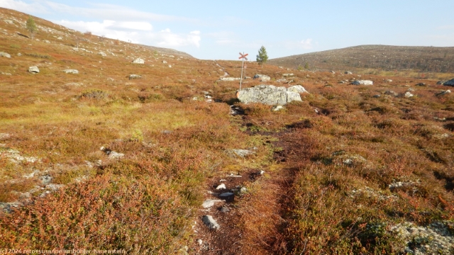 aufstieg richtung olasen im verlauf des suedlichen kungsleden