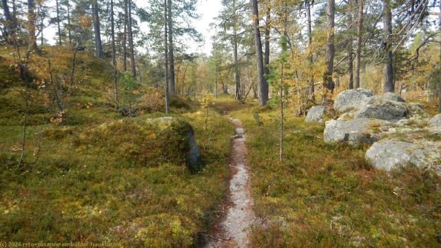 abstieg richtung haevlingen bei olasen im verlauf des suedlichen kungsleden
