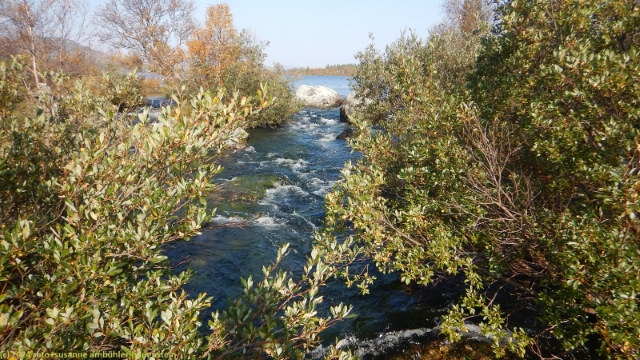 verbindung zwischen haevlingen und saersjoen im verlauf des suedlichen kungsleden
