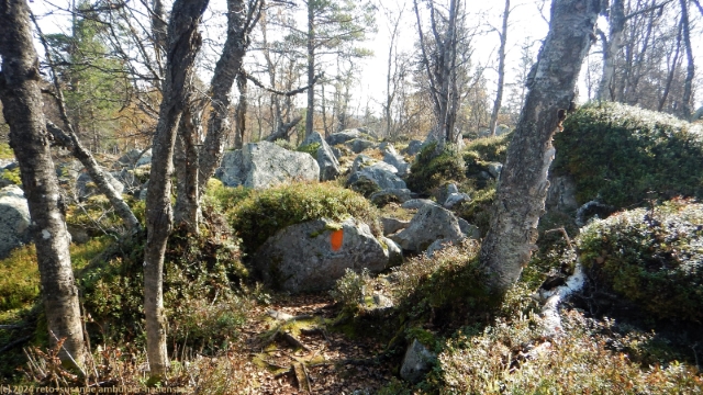 aufstieg richtung gaetielyoeke im verlauf des suedlichen kungsleden