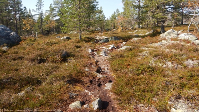 aufstieg richtung gaetielyoeke im verlauf des suedlichen kungsleden