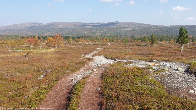 pfad bei gaetielyoeke im verlauf des suedlichen kungsleden