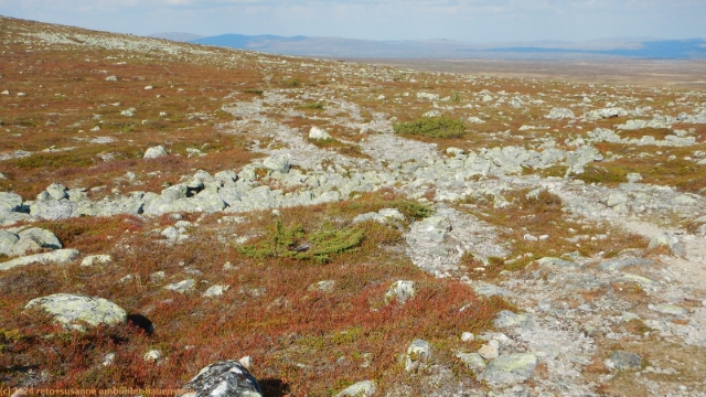 pfad des suedlichen kungsleden ueber des langfjaellet
