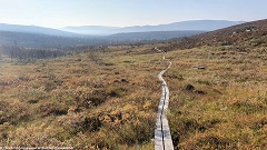 wandersteg im verlauf des suedlichen kungsleden
