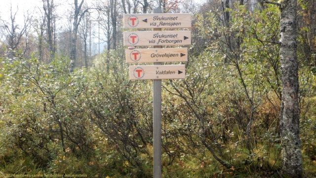 wegweiser bei ryvang