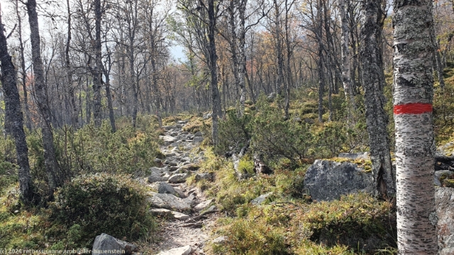 aufstieg richtung salsfjellet