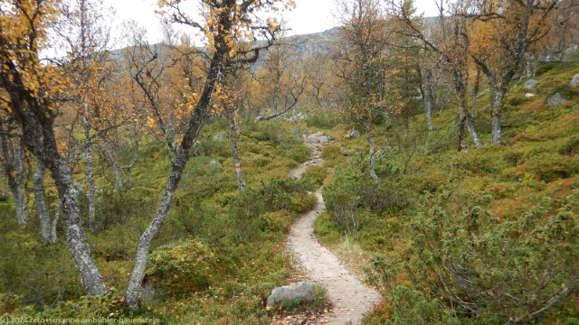 aufstieg richtung salsfjellet