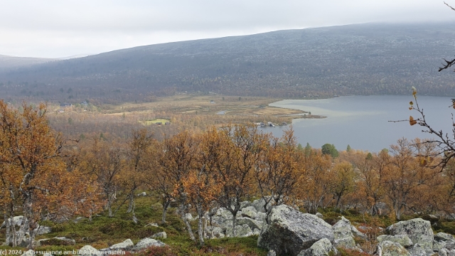 blick waehrend dem aufstieg richtung salsfjellet auf ryvang am noerdlichen ende des groevelsjoen