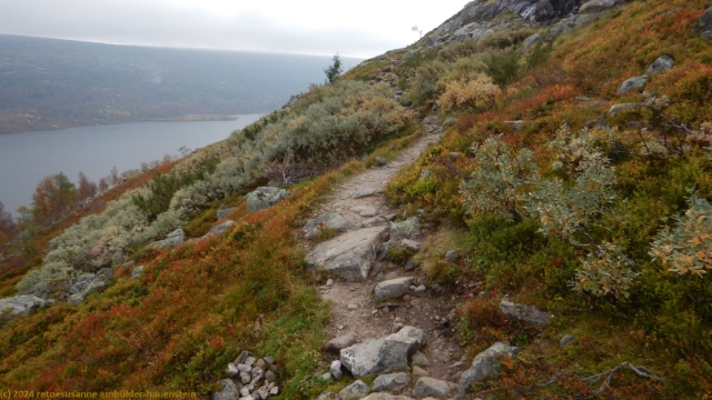 wanderweg richtung salsfjellet mit groevelsjoen