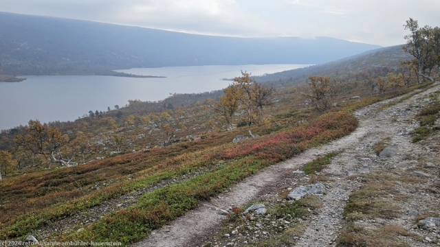 wanderweg richtung salsfjellet mit groevelsjoen