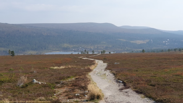 wanderweg am fuss des sjoehoejden mit groevelsjoen im hintergrund