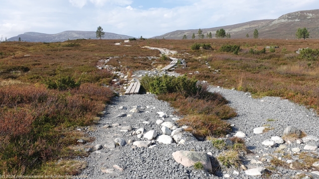 blick zurueck richtung salsfjellet waehrend dem abstieg richtung groevelsjoen